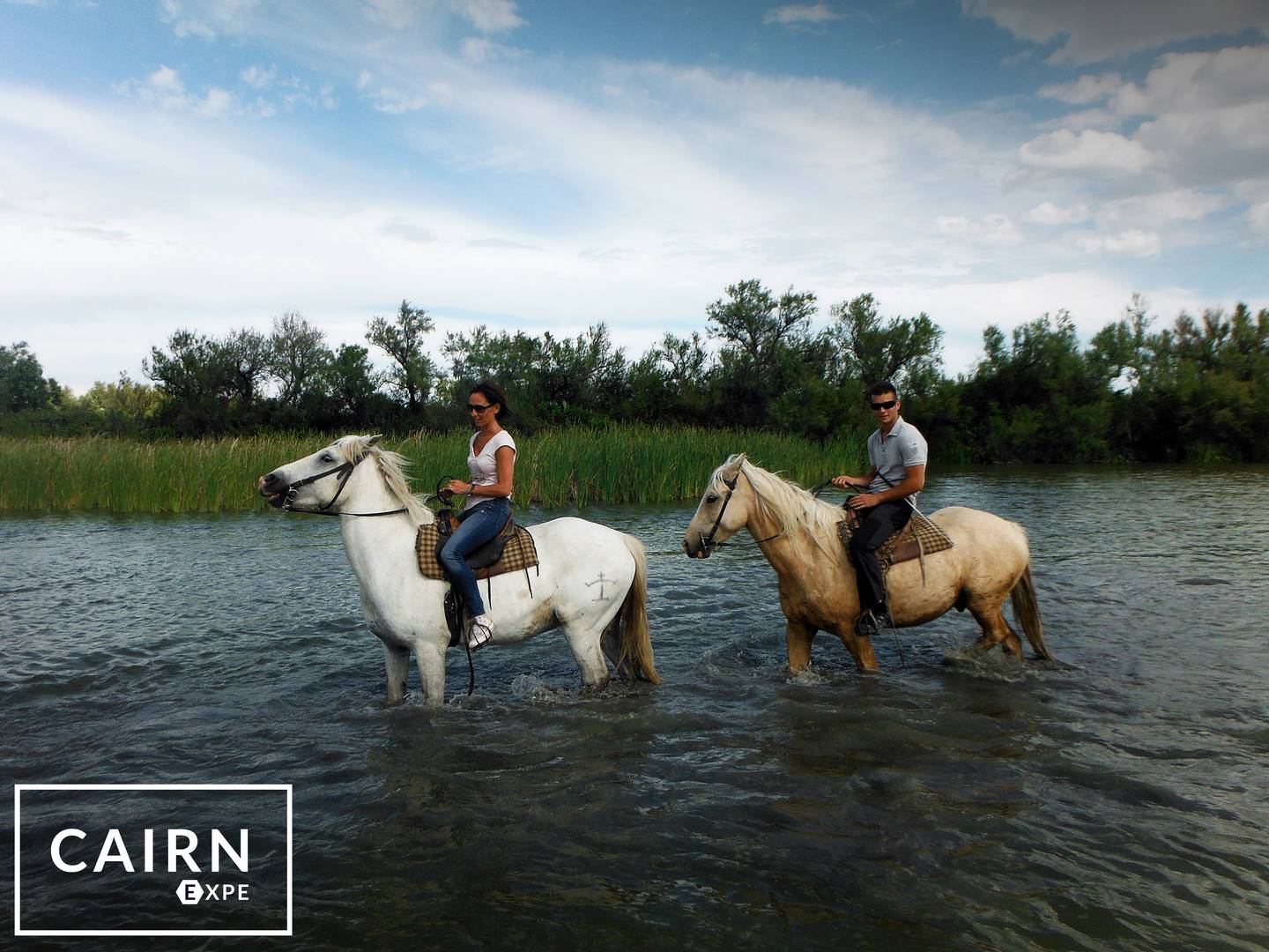 voyage-privé-guide-camargue