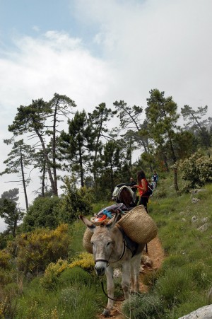 portage-chemin-randonnee-alpes-maritimes