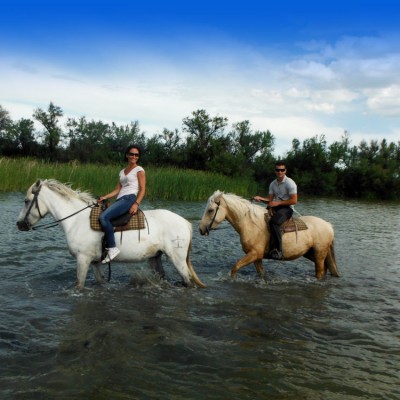 Cheval-equitation-camargue-taureaux-1000x750