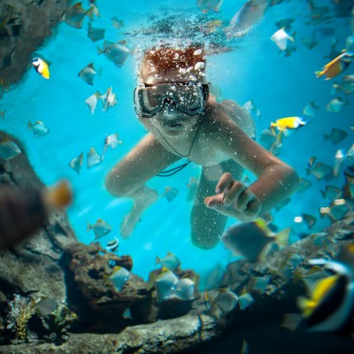 Plongée enfant avec poissons