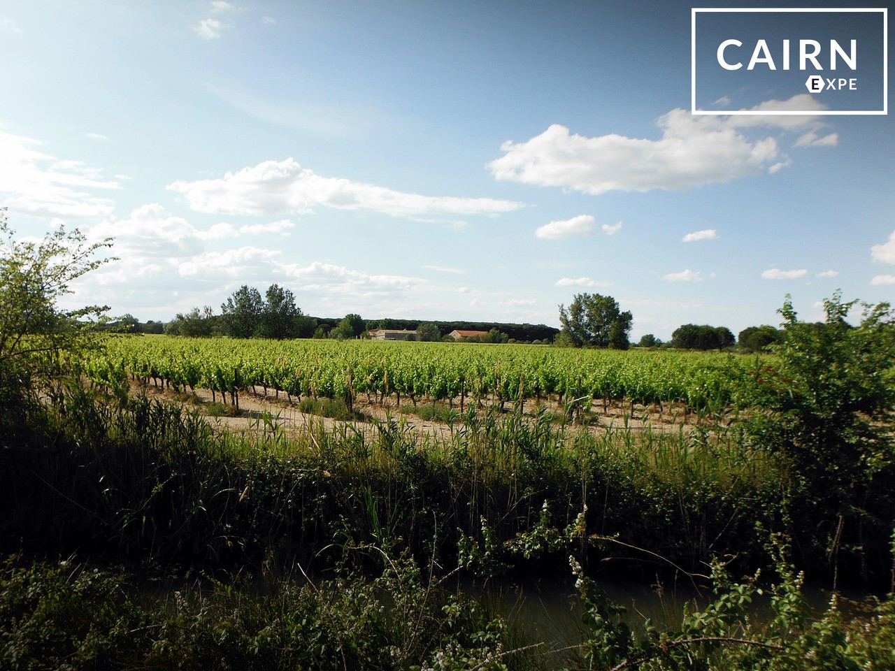 route-vin-camargue-cheval-1280