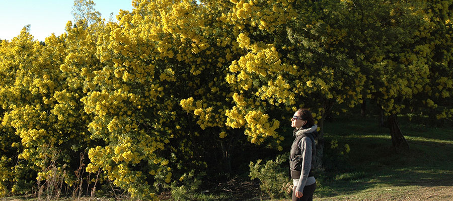 slide-produit-rando-insolite-rando-mimosa