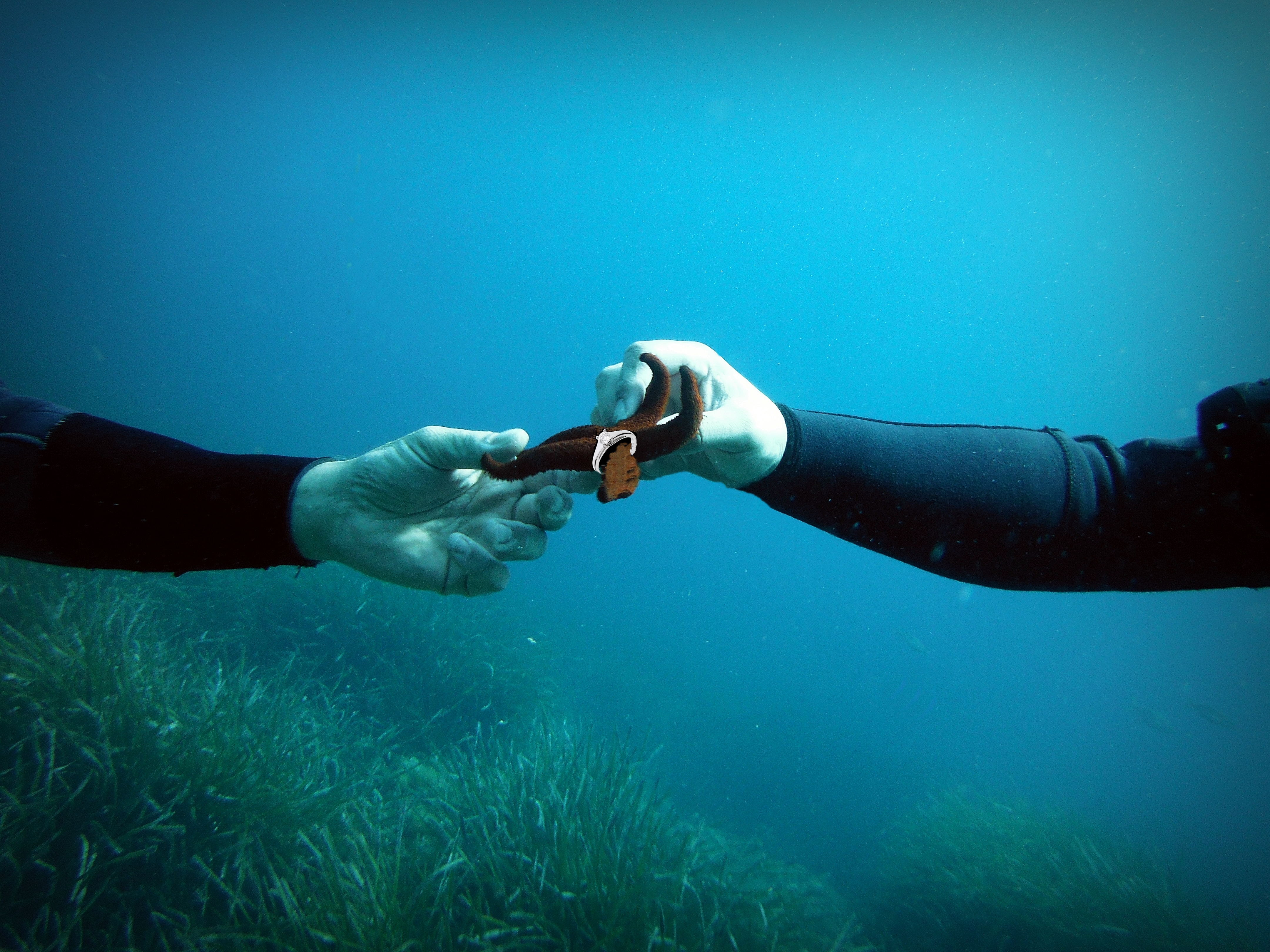 Demande en Mariage sous l'eau