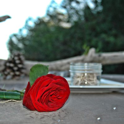 décoration table rose rouge