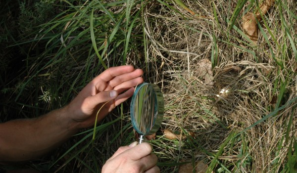 Feu avec une Loupe