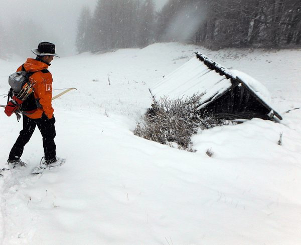 Raquettes à Neige Trappeur