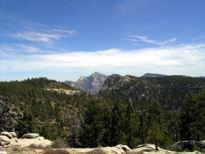 mexique - Sierra San Pedro Martir Baja California