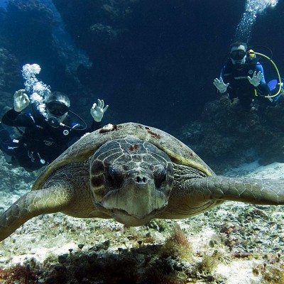 Voyage Mexique Plongée