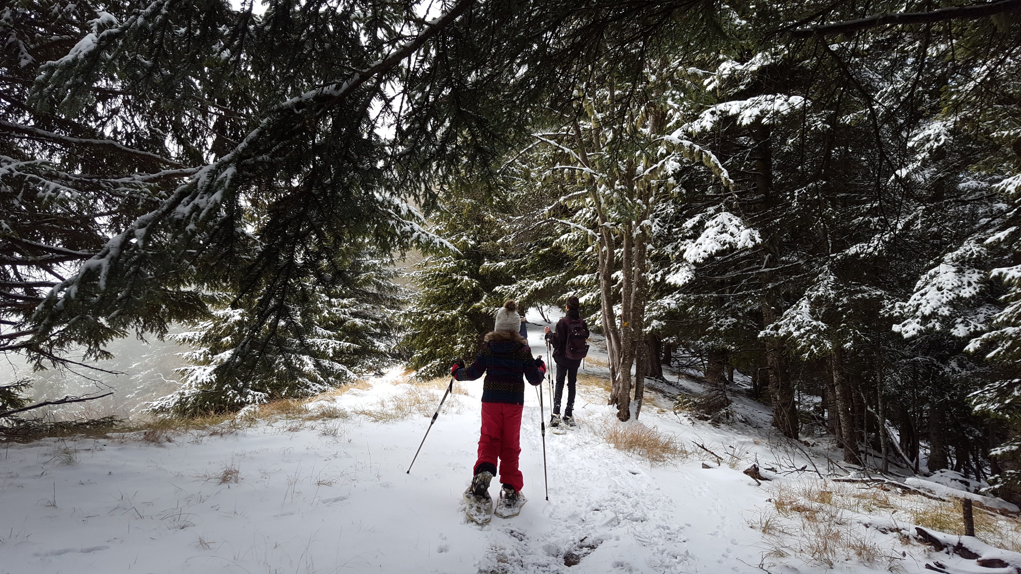 Parcours de raquettes à neige 