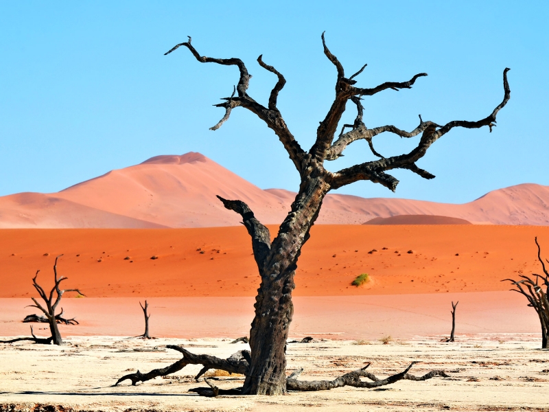Découverte Namibie