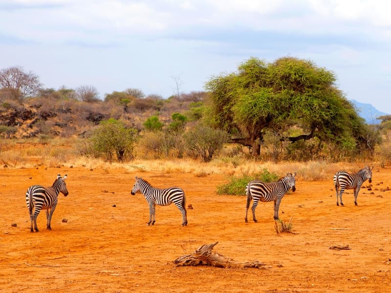Aventure Afrique du Sud