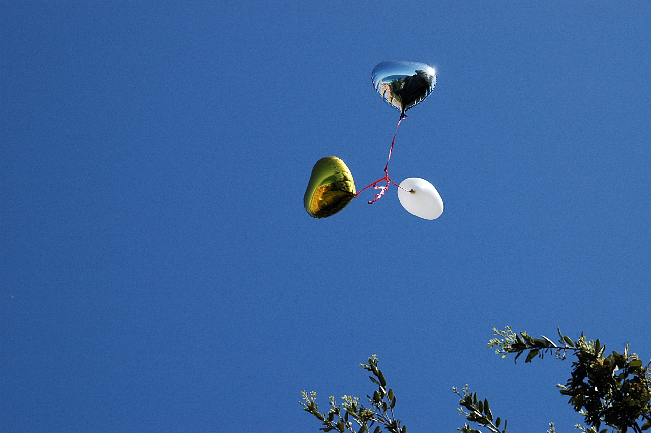 Scénario Demande Mariage Romantique