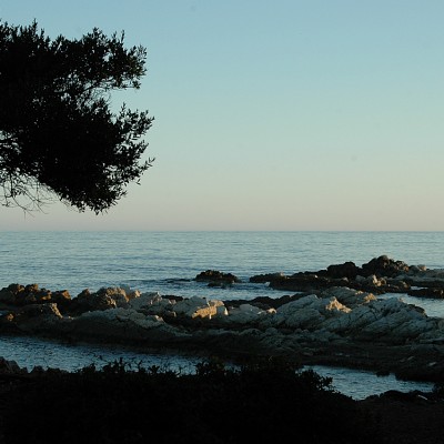 Ile de Lerins Marguerite