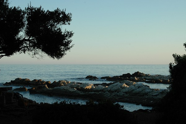 Paysage pour demande Mariage Ile de Lerins Marguerite