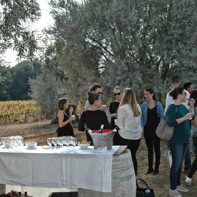 Dégustation Vin Teambuilding Vignes