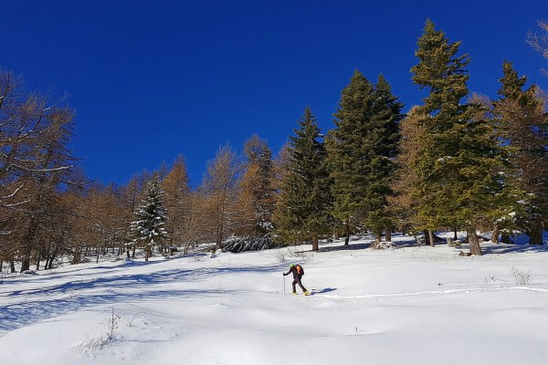 ski randonnée alpes maritimes