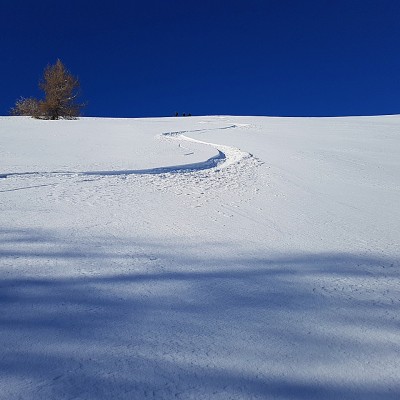 ski randonnée alpes maritimes