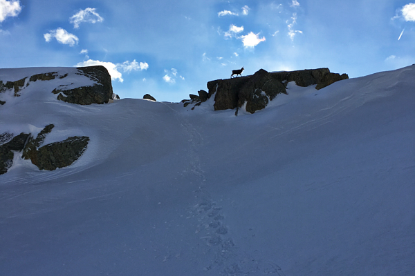 Séjour Raquettes Neige Mercantour