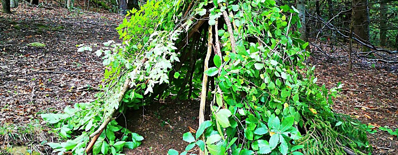 StageSurvie_construction_abri Comment Construire un Abri