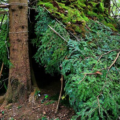 Comment Construire un Abri