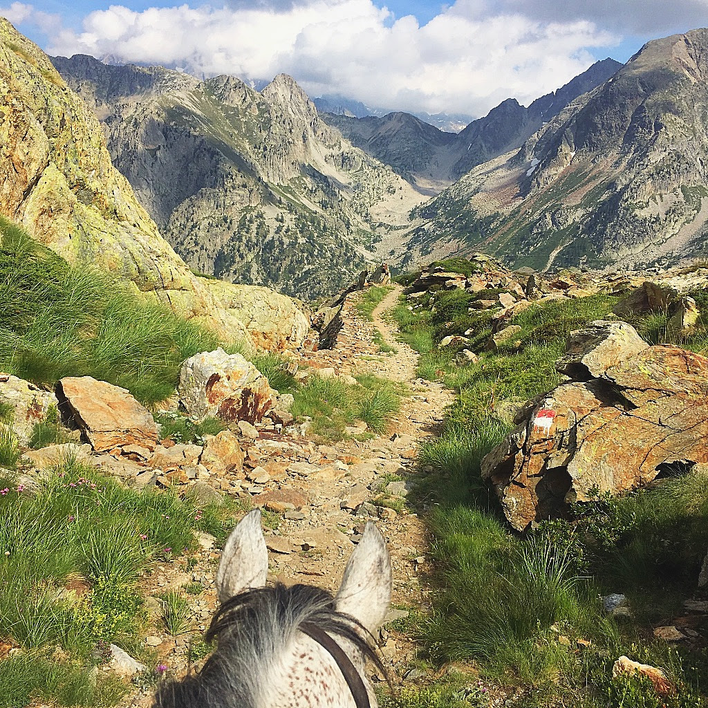 Stage de survie et randonnée à cheval