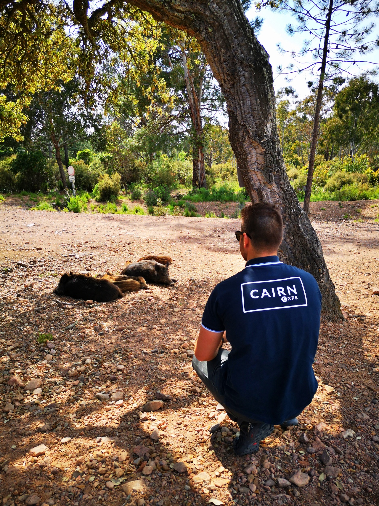 Team Building dans le Var