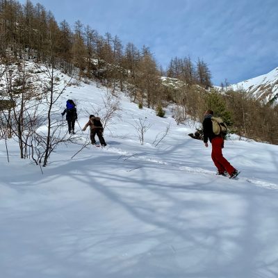 Raquettes à neiges - Montée dans la neige