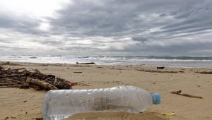 Ramassage déchet plastique sur la plage