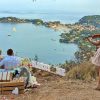 Demande Mariage Insolite