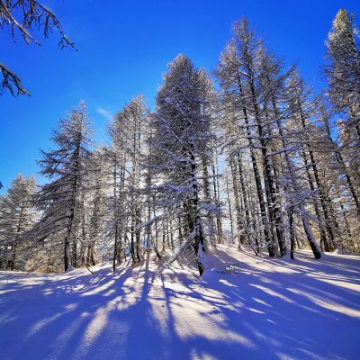 Il neige à Auron