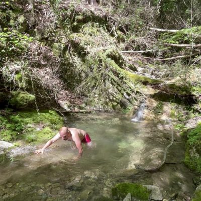 Techniques de survie